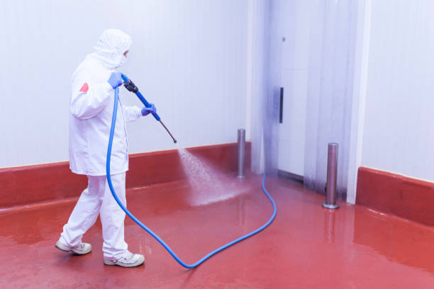 Best Residential Pressure Washing in Macon, MO