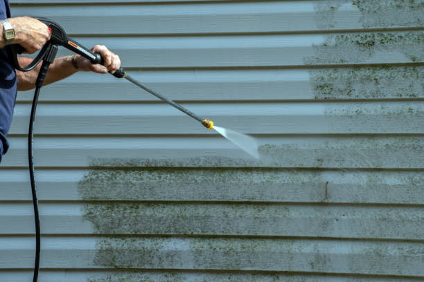 Best Soft Washing for Delicate Surfaces in Macon, MO